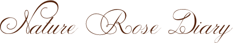 Nature Rose Diary